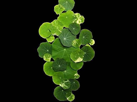 化妆品详情页（个人主页-ZMjk1NzIwMjQ=） - 电商 - 站酷设计师还是苟点好原创素材 - 站酷ZCOOL