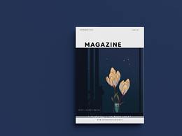 治愈晚安——和花朵说晚安