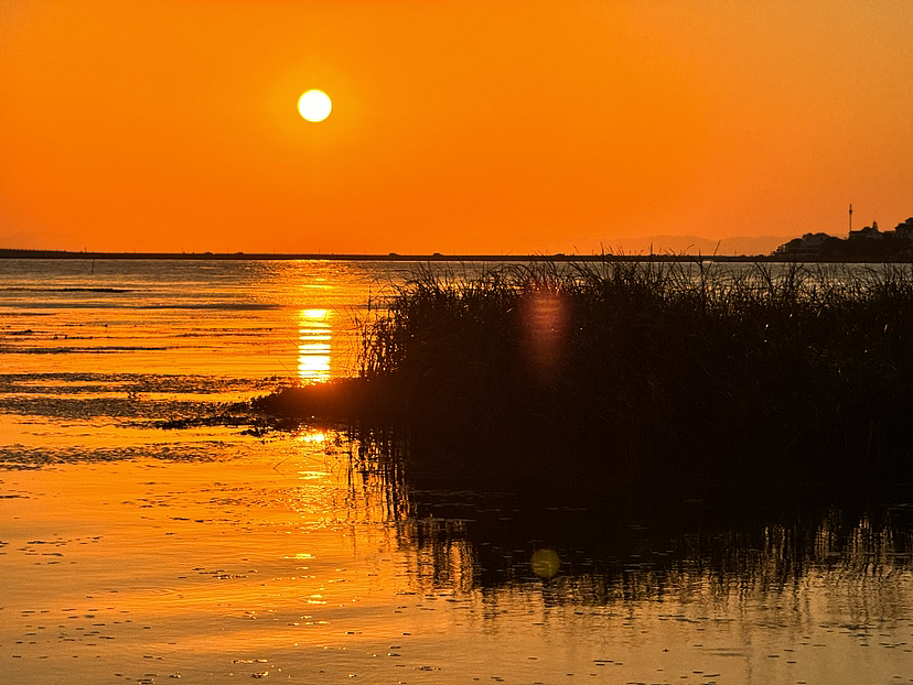 一些手機攝影作品（圖ZMzU0MDAxMDA0） - 人文/紀實攝影 - 站酷設(shè)計師LaBalena落落原創(chuàng)素材 - 站酷ZCOOL