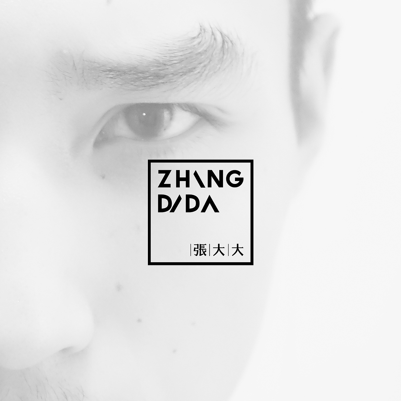 《ZhangDada-张大大》品牌视觉体验设计