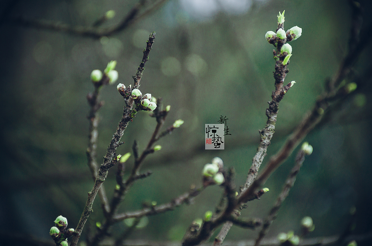 惊蛰（图ZOTYyMTE5ODQ=） - 人像摄影 - 站酷设计师空谷客原创素材 - 站酷ZCOOL