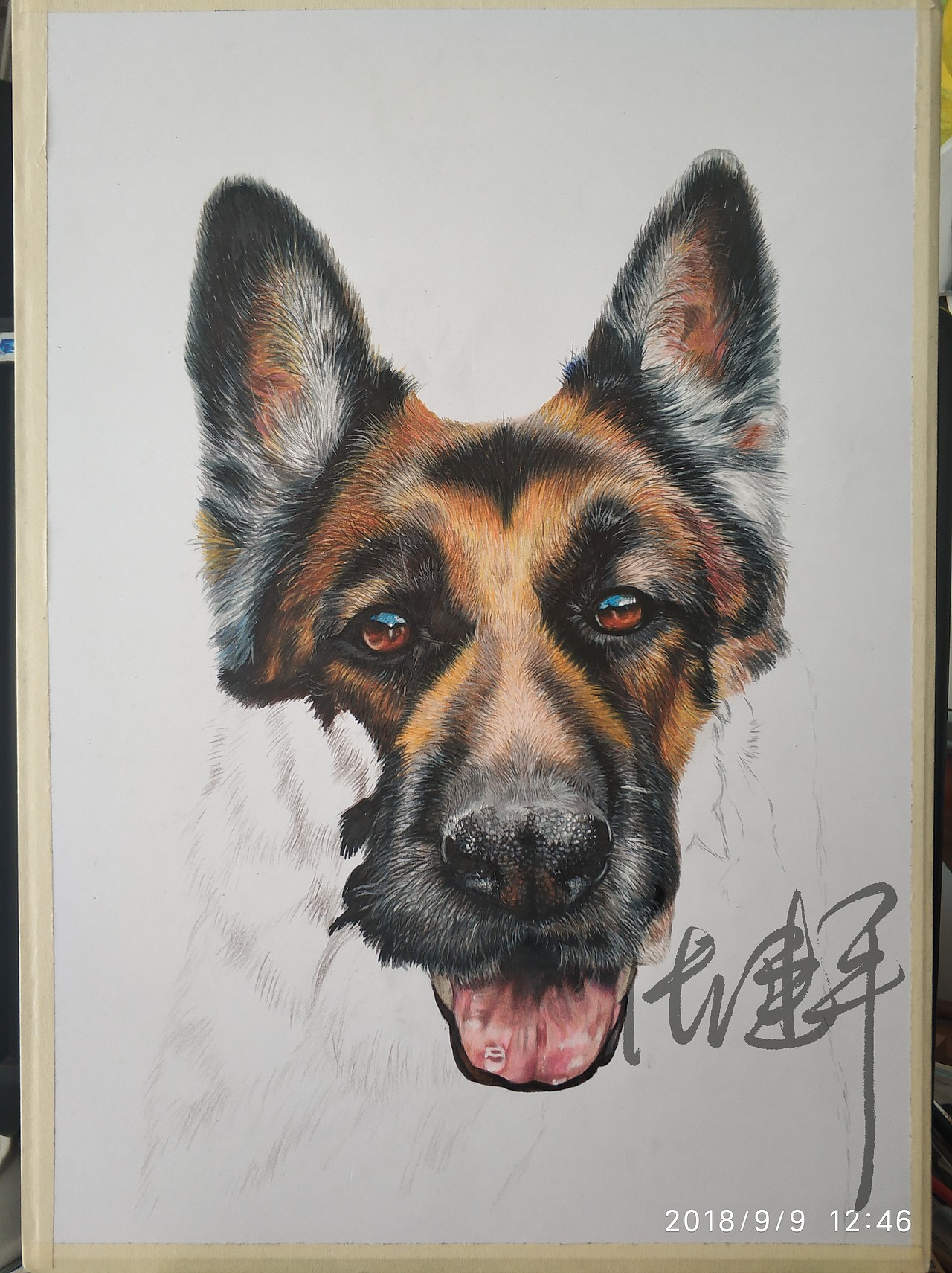 狗神德牧狼犬