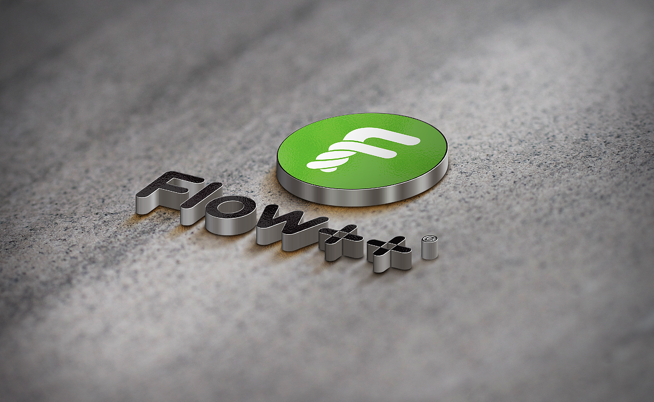 Flow++logo设计方案（图ZODE2Mjk2NDA=） - Logo - 站酷设计师张展品牌设计原创素材 - 站酷ZCOOL