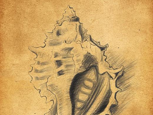 素描（个人主页-ZMjQ0Mzk2MjA=） - 其他平面 - 站酷设计师mini菜菜原创素材 - 站酷ZCOOL