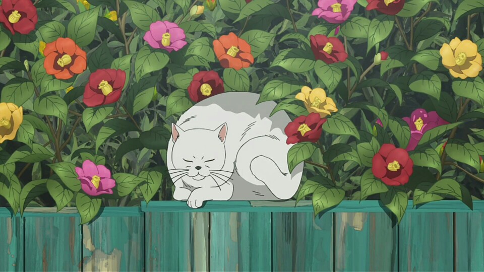 鏡池星的個人主頁（背景預(yù)覽） - 主頁背景設(shè)置 - 站酷設(shè)計師鏡池星原創(chuàng)素材 - 站酷ZCOOL