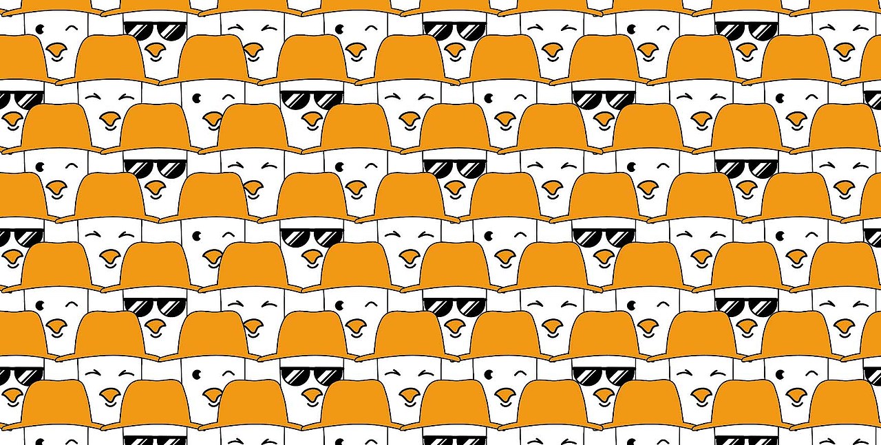 熊猫全案设计——小帅鸽