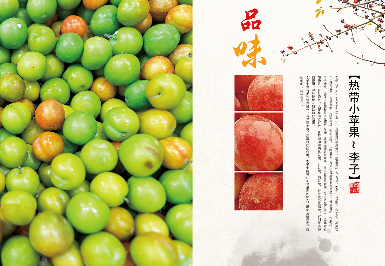 健康水果画册（图ZMjA2OTExMDk2） - 书籍/画册 - 站酷设计师小狸子77原创素材 - 站酷ZCOOL