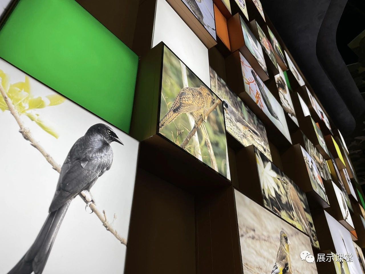 展厅设计/展馆/ 以“内容”为核心的生态科普展馆（图ZMjg2NDE1NzI4） - 展陈设计 - 站酷设计师展示课堂原创素材 - 站酷ZCOOL