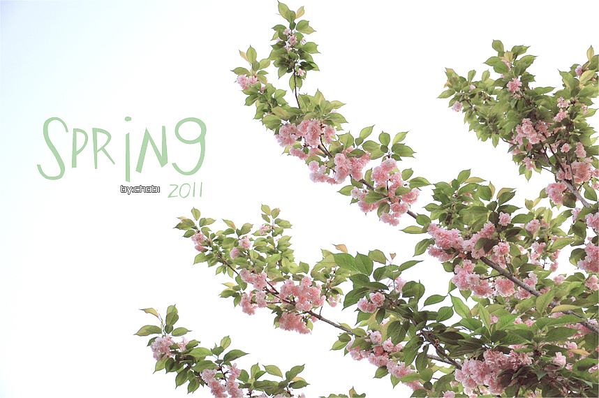 春天的随便乱照（图ZMjk5MjUzMg==） - 风光摄影 - 站酷设计师chobi原创素材 - 站酷ZCOOL