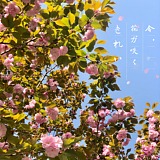 田恬恬恬恬的头像