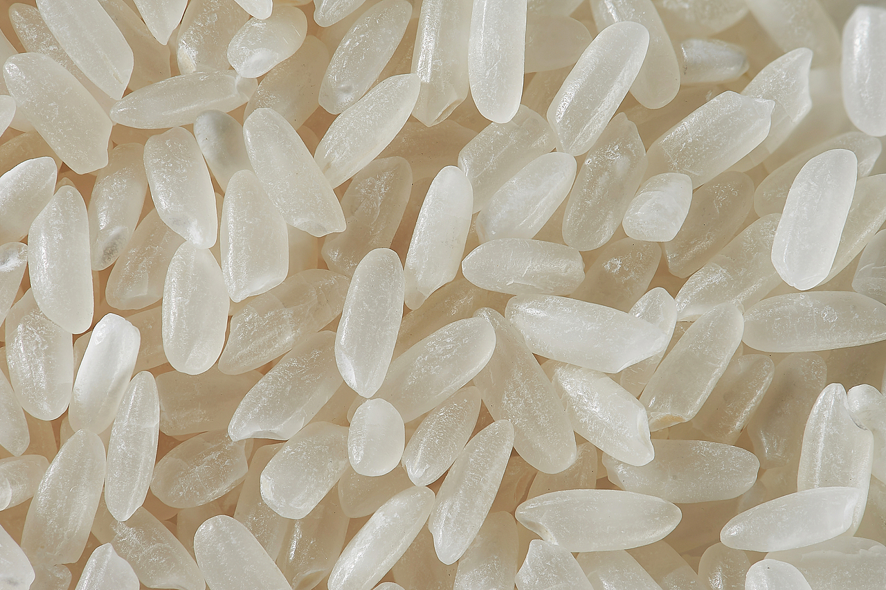 大米拍摄（图ZMTc1NzA3NjY4） - 产品摄影 - 站酷设计师有意视觉文化原创素材 - 站酷ZCOOL