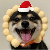 IMx杰的头像