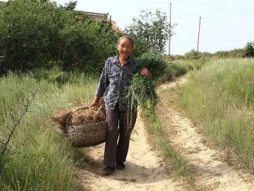 我的家乡,我的亲人,我深爱的这片土地!