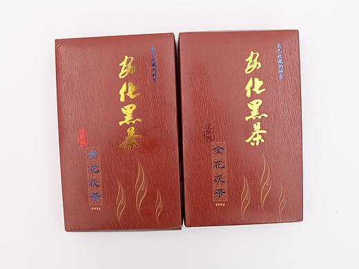 B04茶叶咖啡\C01-茶叶\V06安化黑茶X1-QM