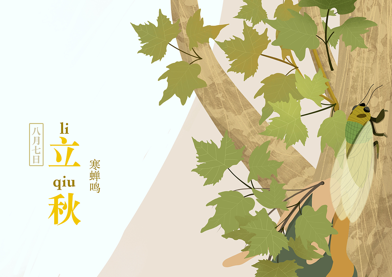 【节气】二十四节气一