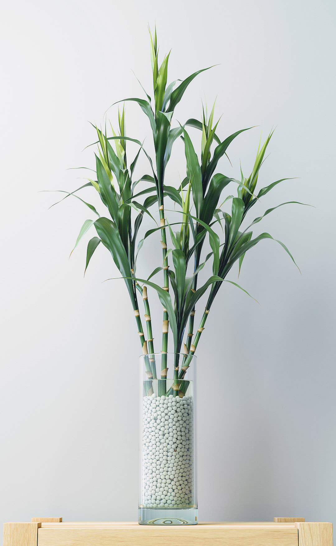 ihdt上海映速的个人主页（背景预览） - 主页背景设置 - 站酷设计师ihdt上海映速原创素材 - 站酷ZCOOL