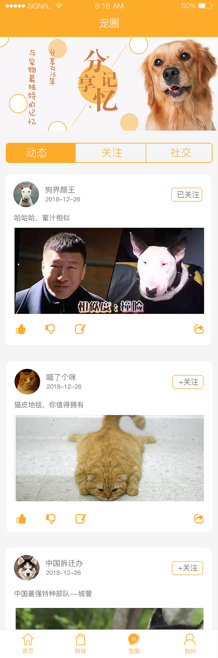 宠倍爱app