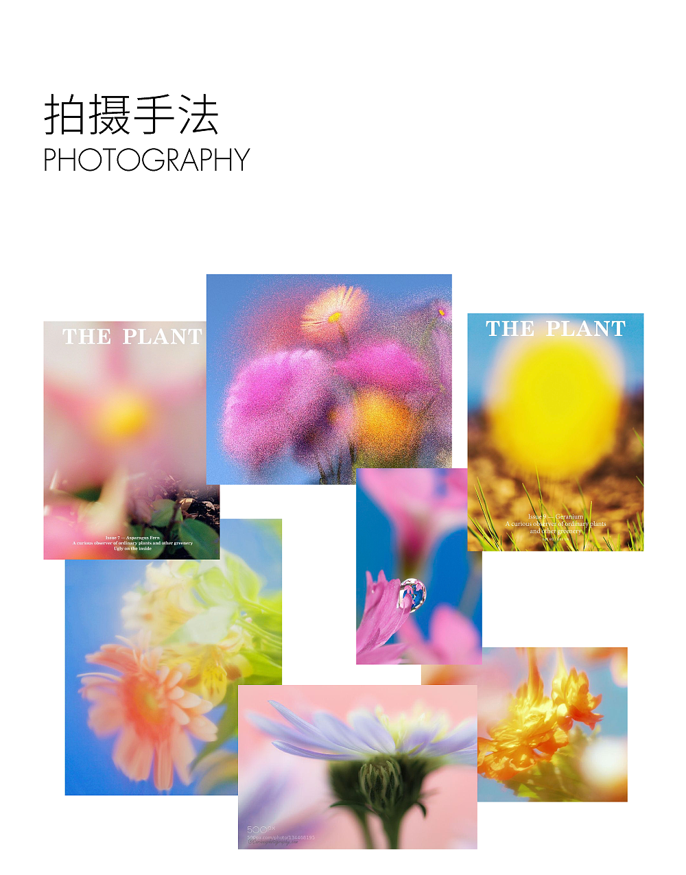 奈雪的茶｜一周好茶 系列（图ZMjg2NDUxMTY0） - 品牌 - 站酷设计师奈雪的茶Nayuki原创素材 - 站酷ZCOOL