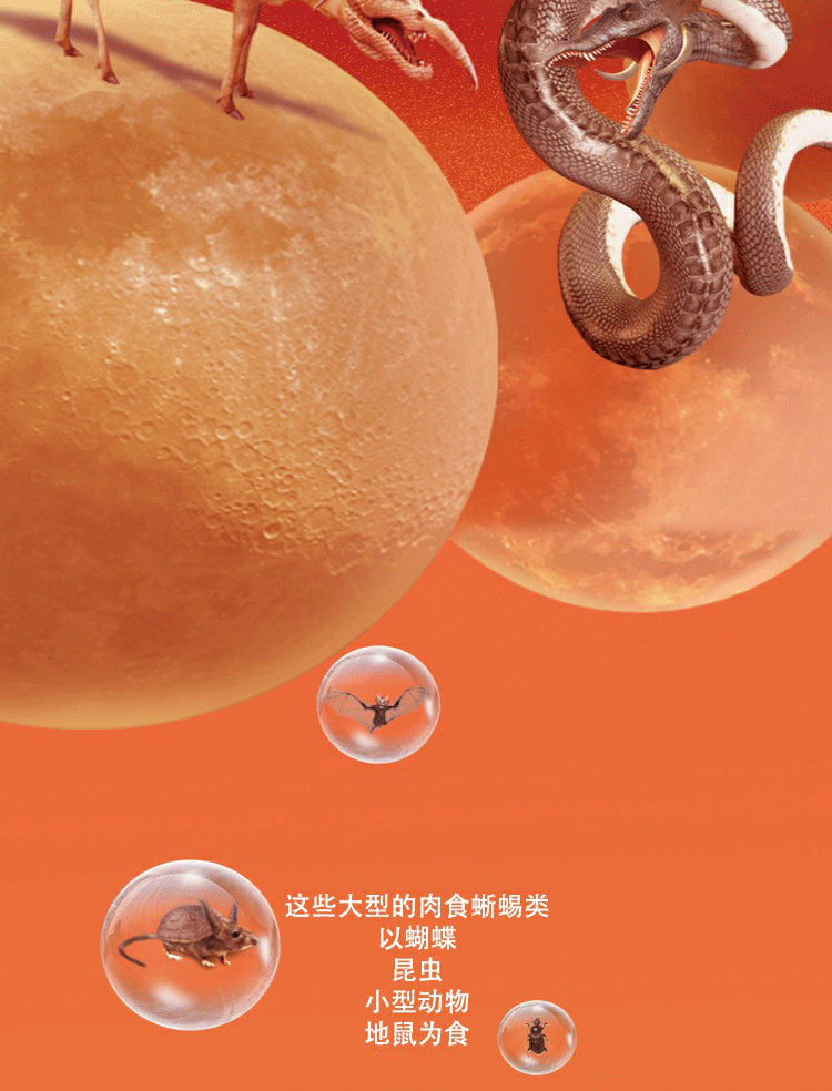 自媒体设计《末日之后》----沙（图ZMTYwNDM5Njk2） - 宣传物料 - 站酷设计师暹罗不是猫原创素材 - 站酷ZCOOL