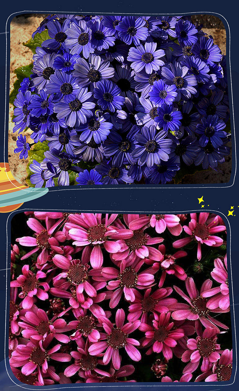 太空种子（图ZODk1NTE5ODQ=） - 电商 - 站酷设计师超人奇葩婷宝宝原创素材 - 站酷ZCOOL