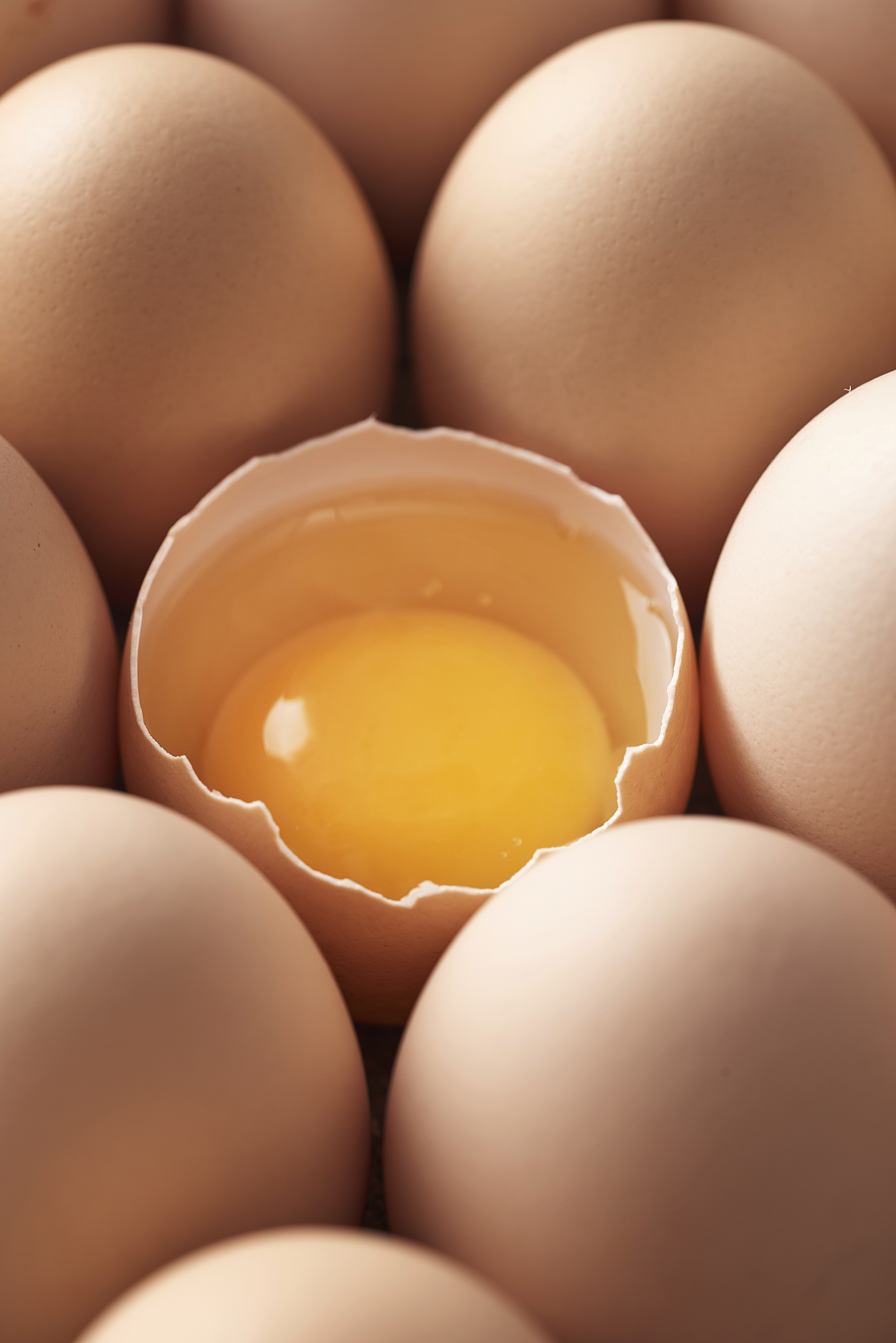 鸡蛋|摄影|静物|nik_liang - 临摹作品 - 站酷 (zcool)