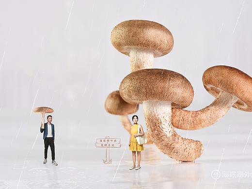 创意小人国食材摄影