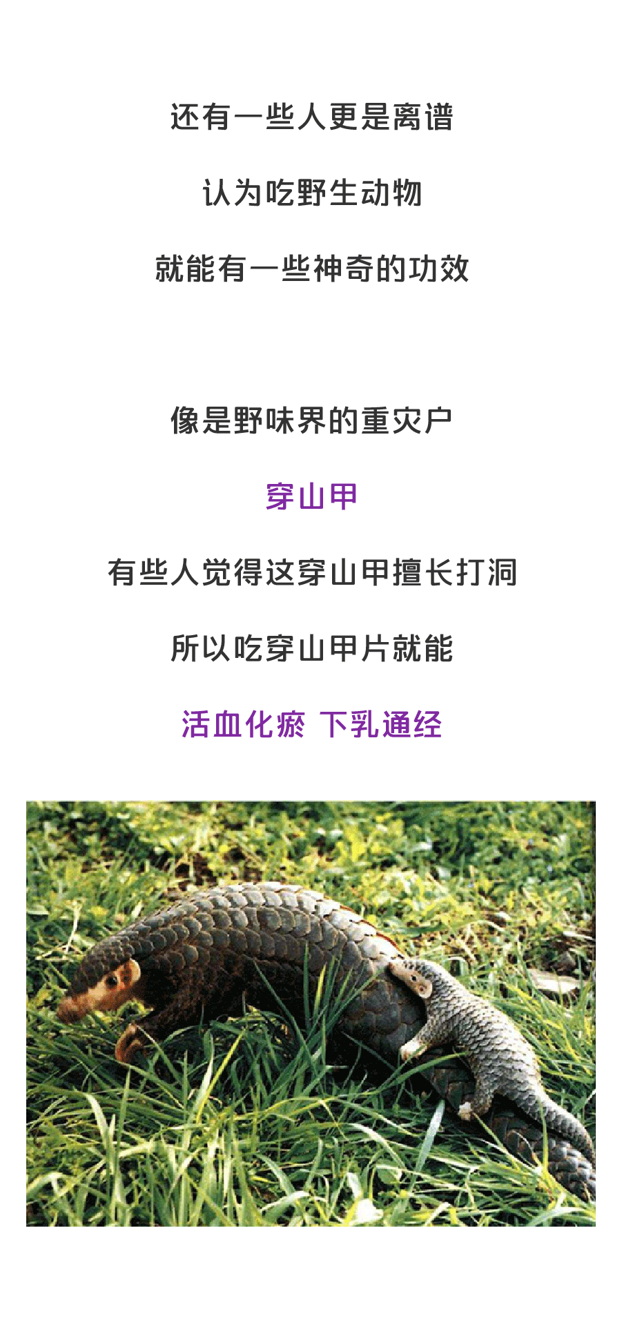 疫情之后，人类能不能拒绝吃野味？（图ZMTk1Mjc4MzY0） - 中/长篇漫画 - 站酷设计师缸灿食话原创素材 - 站酷ZCOOL