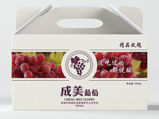 葡萄包装 成美葡萄