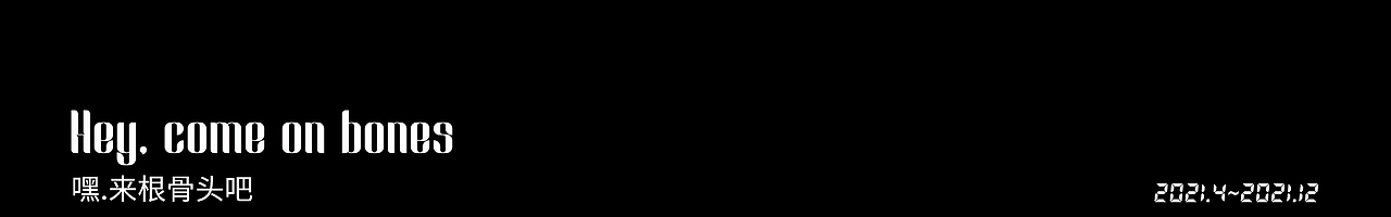 2021工作项目视觉分享