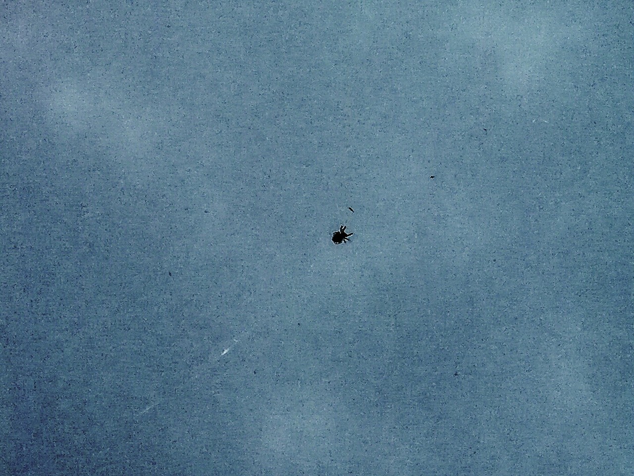 【脑世绘·集(1-10)】