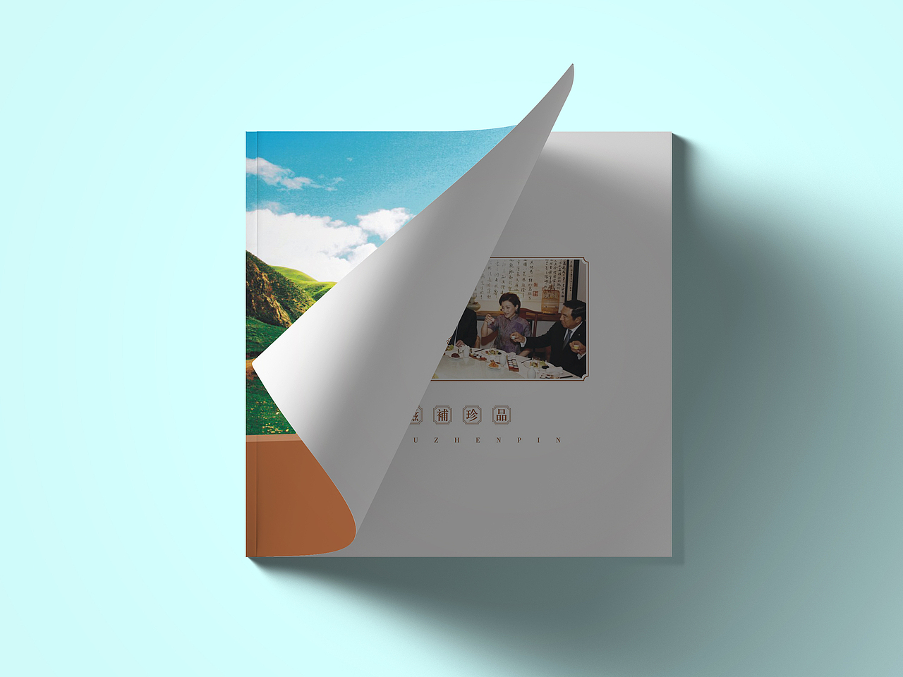 《冬虫夏草》画册（图ZMTc2ODQ2OTgw） - 书籍/画册 - 站酷设计师小白兔糖原创素材 - 站酷ZCOOL