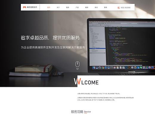 企业网站
