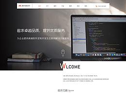 企业网站