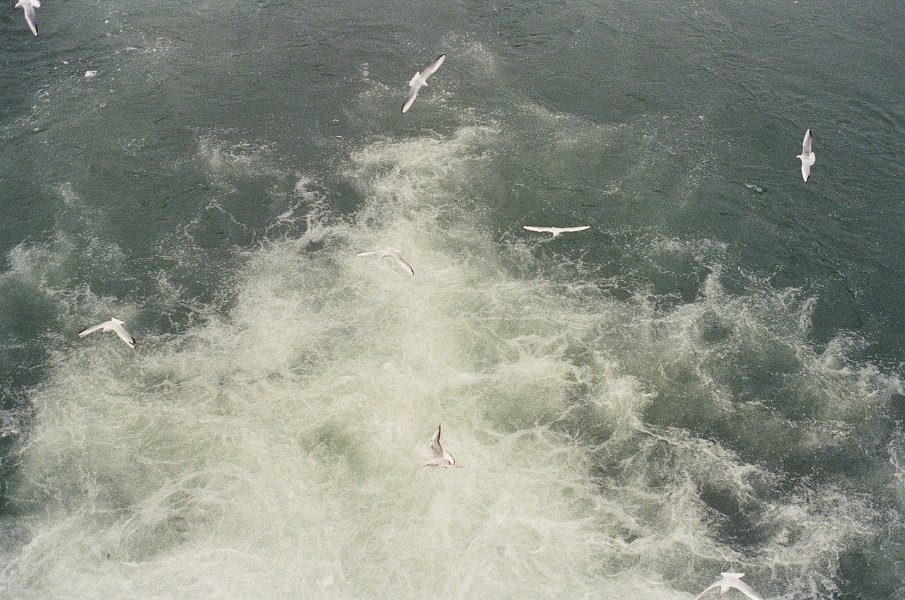 2019.2-海螺沟-kodak400（图ZMjE3MzU1MzIw） - 人像摄影 - 站酷设计师My金桔原创素材 - 站酷ZCOOL