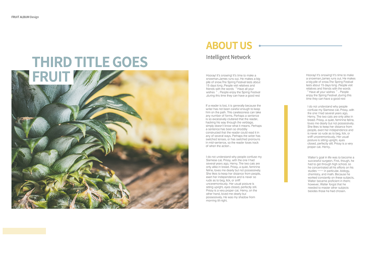 水果画册（图ZMTkzNjAyODA0） - 书籍/画册 - 站酷设计师Z30465752原创素材 - 站酷ZCOOL