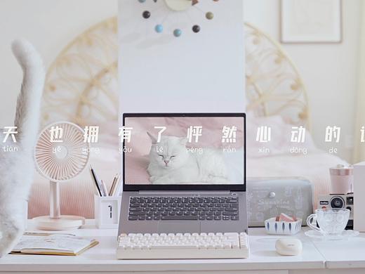 《小森活》联想智选