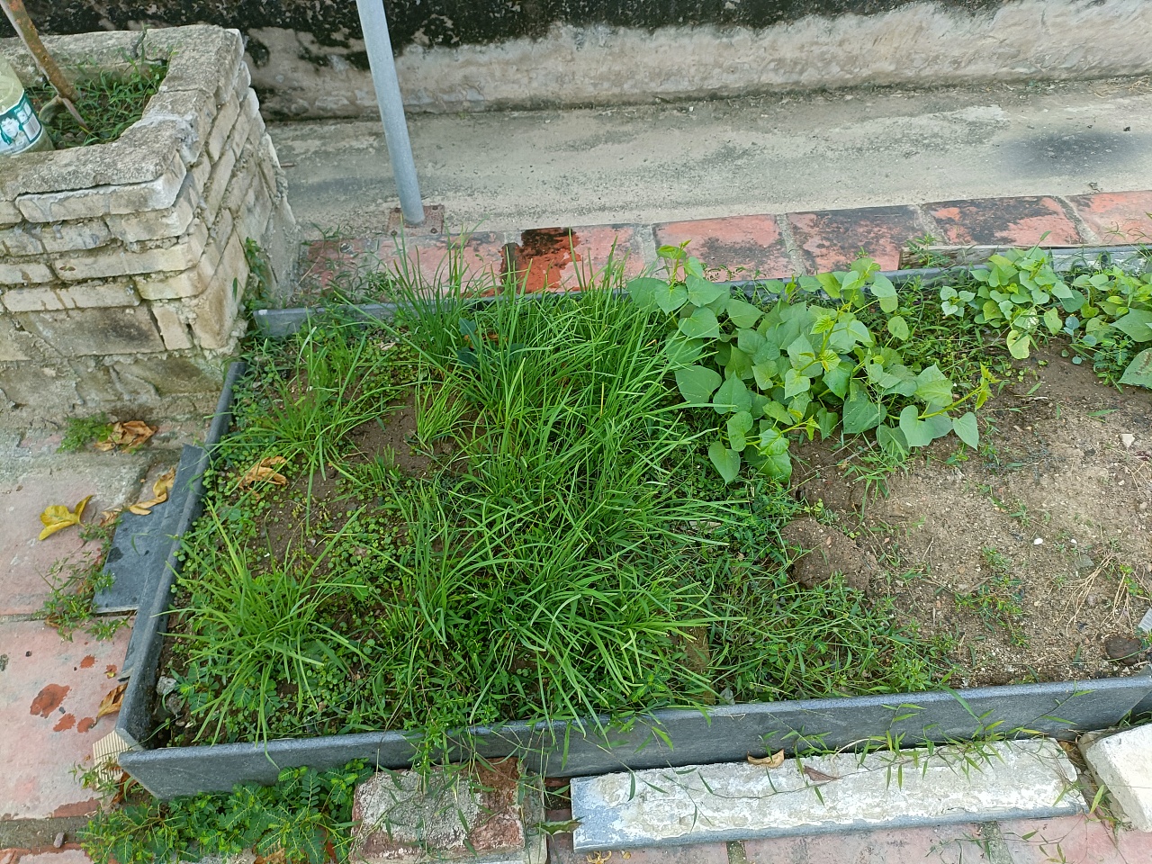 《心泛起了涟漪》