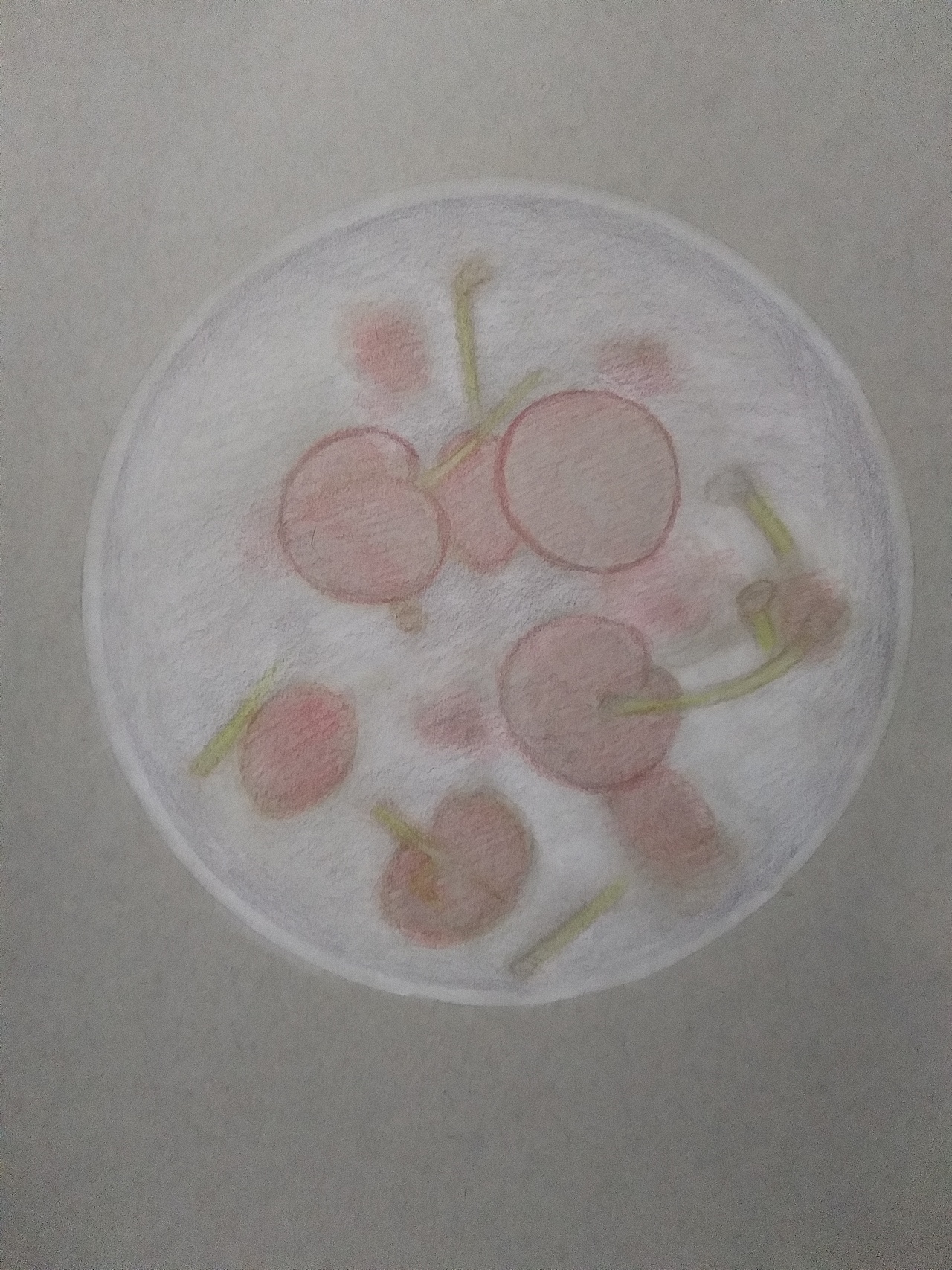 樱桃――李胜仁作品（图ZMTcwMjk1MDcy） - 绘画 - 站酷设计师李胜仁原创素材 - 站酷ZCOOL