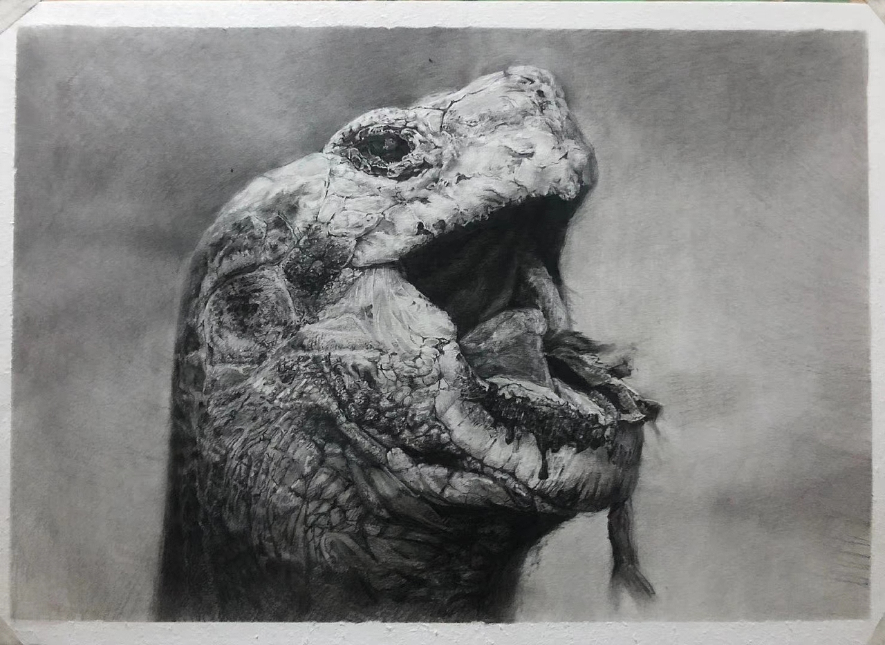 这是大一刚上学的第一节副作品 第一次课程 写生精微素描 我当时实在