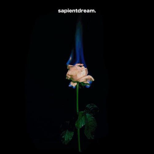 SylviS的个人主页（背景预览） - 主页背景设置 - 站酷设计师SylviS原创素材 - 站酷ZCOOL