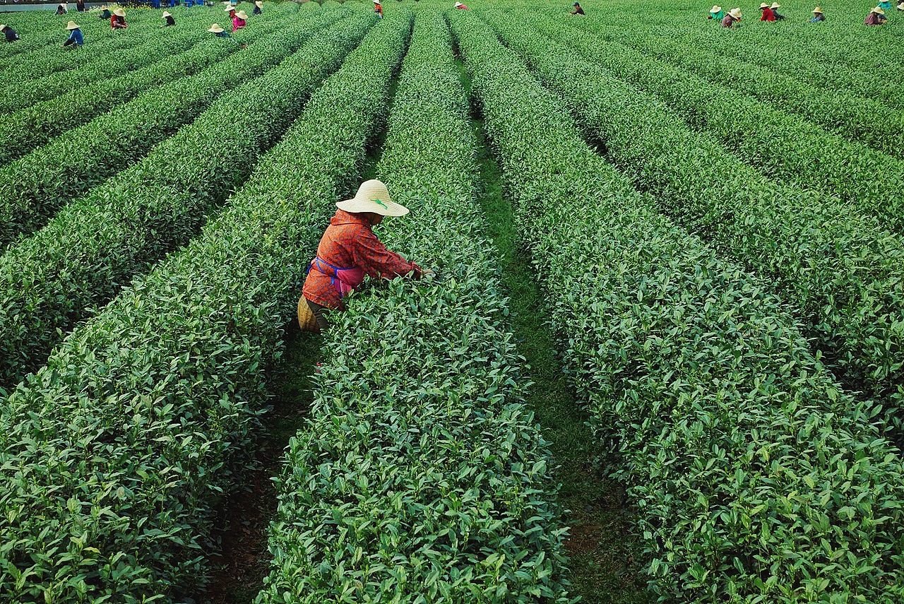 走南闯北,咀嚼城市细节
