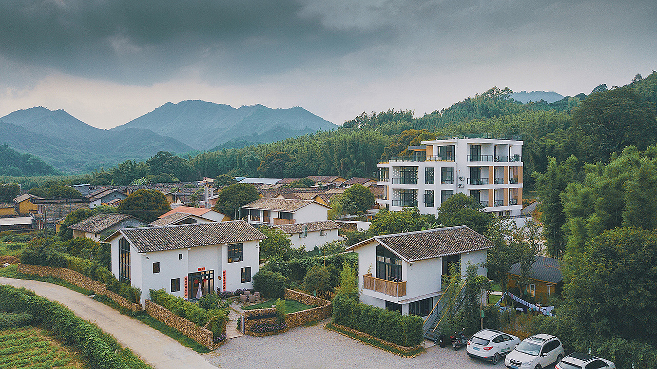 民宿.爱树乡村拍摄项目