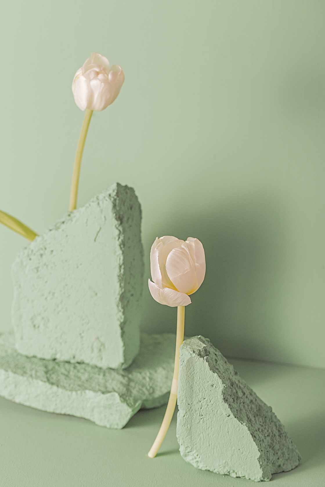 绿/花（图ZMTgzMTc4ODE2） - 产品摄影 - 站酷设计师刘佩相_koto原创素材 - 站酷ZCOOL