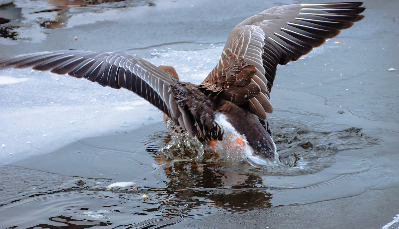 追逐光,直到成为光