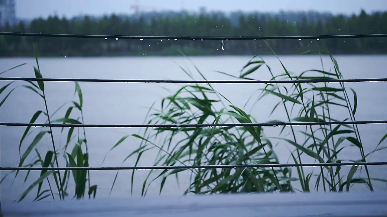 記:初夏的一場大雨
<br>半分濁意<br>半分空明<br>濛濛的濕氣讓衣袖和褲腳<br>貼著身體<br>雖是夏天的雨<br>風,倒是冷的不客氣