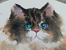 最近的猫咪
