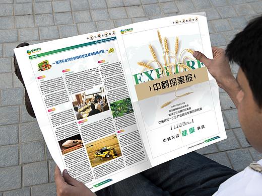 中鹤集团-年度内刊