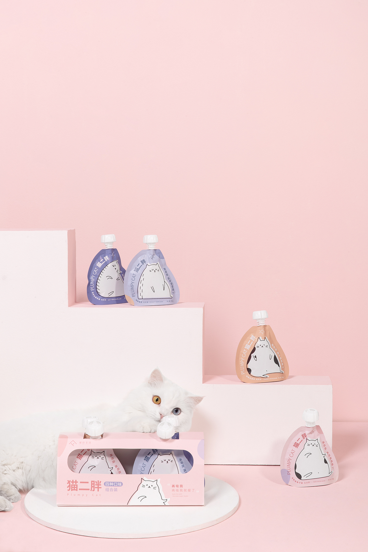 事实证明,猫仪式感和少女心起来,就没人什么事儿了