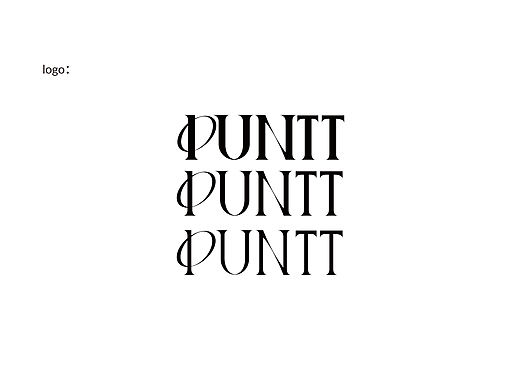 PUNTT品牌VI设计