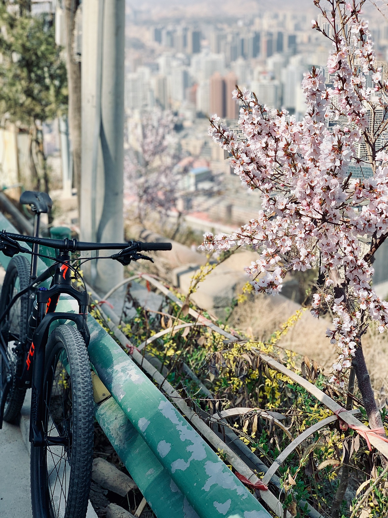 单车🚴/春季🍀（图ZMTUyMjg1Njc2） - 人文/纪实摄影 - 站酷设计师仙人掌男孩原创素材 - 站酷ZCOOL